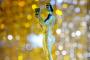 What time are the SAG Awards? And other burning questions answered! What time are the SAG Awards? And other burning questions answered!