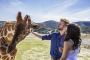 7 TV specials on Prince Harry and Meghan Markle to get you royal wedding ready 7 TV specials on Prince Harry and Meghan Markle to get you royal wedding ready