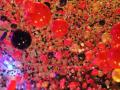 Hyatt Regency in Houston, Tx., New Years Eve Party 50,000 balloon drop - Jan. 1, 2014 Hyatt Regency in Houston, Tx., New Years Eve Party 50,000 balloon drop - Jan. 1, 2014