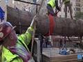 Raw: Rockefeller Center Christmas tree arrives in NYC Raw: Rockefeller Center Christmas tree arrives in NYC
