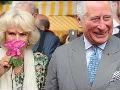 Prince Charles says Harry and Meghan's royal wedding will be special Prince Charles says Harry and Meghan's royal wedding will be special