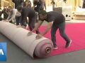 Oscars Red Carpet Rolled Out Oscars Red Carpet Rolled Out